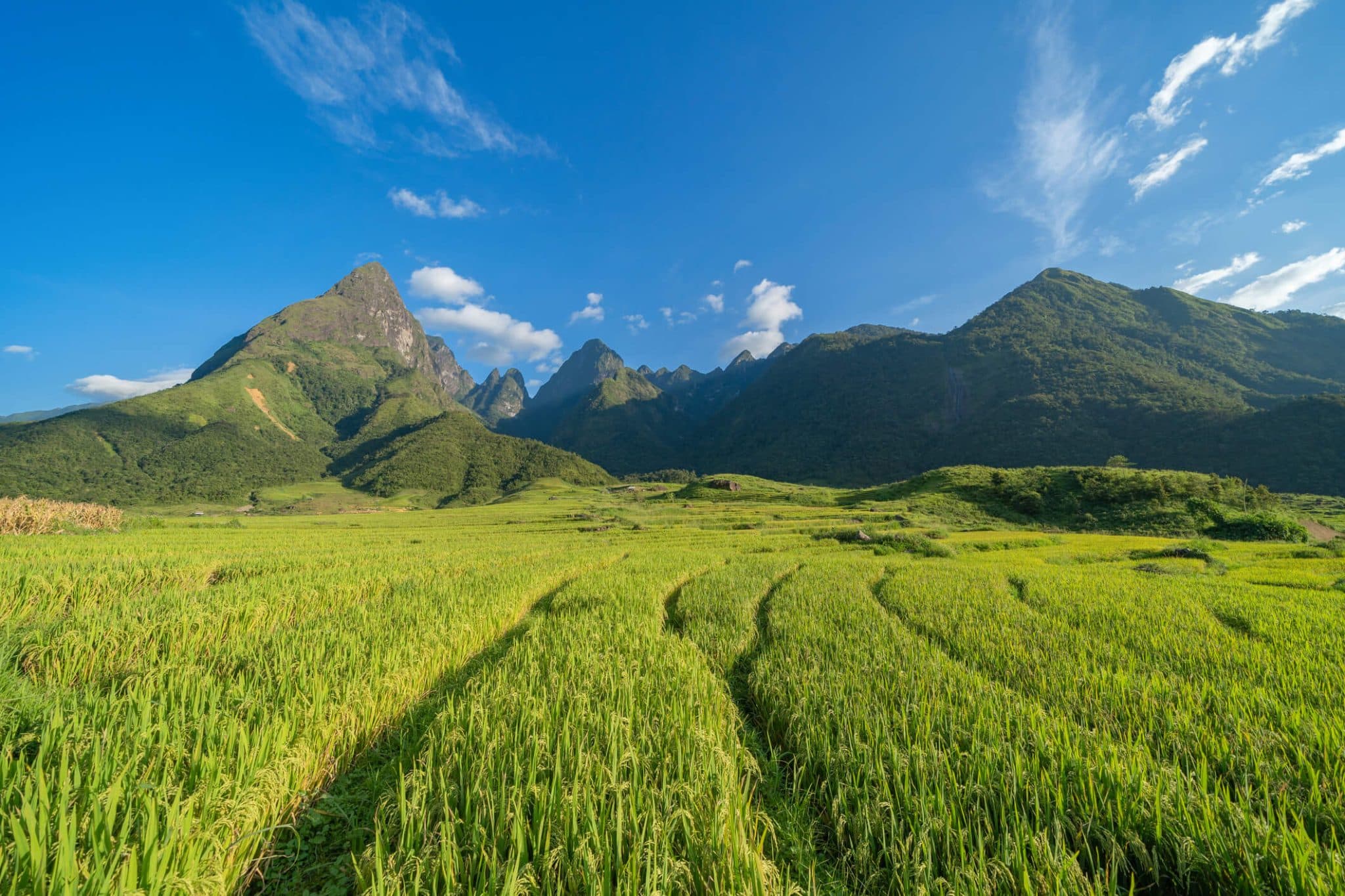 Dametur til Araslöv